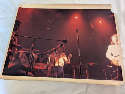 Stampa foto concerto live
