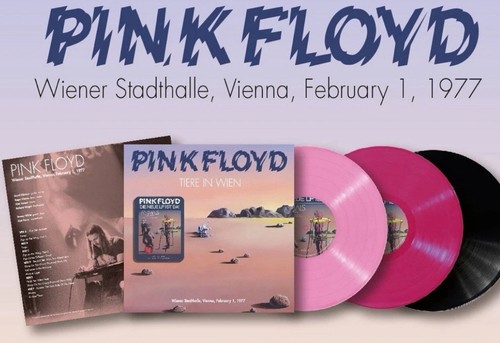 Pink floyd tier in - pink,