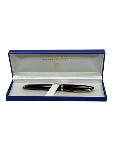 Penna stilografica waterman - penna,