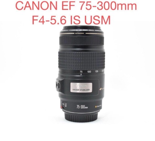 Canon 300 5 6 - ef, 75-300
