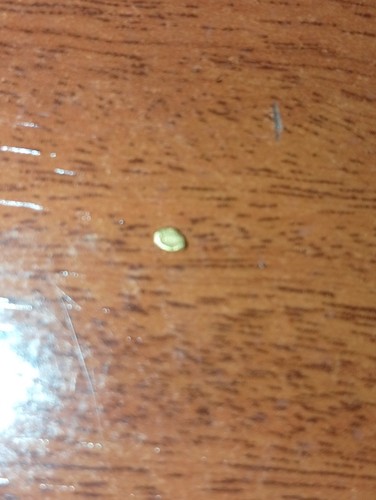 Pepitas oro - pepitas,