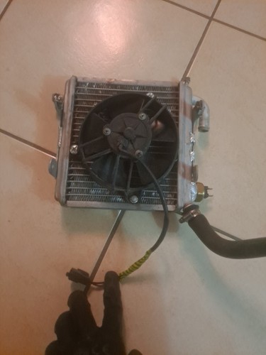 Radiatore acqua aprilia - radiatore,