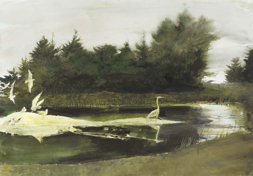 Andrew wyeth stagno 22x30 - lo,