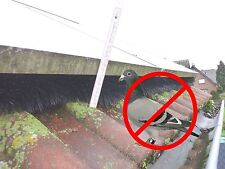 Spazzola di protezione