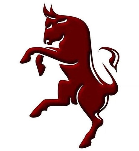 Torino calcio toro - toro, idea