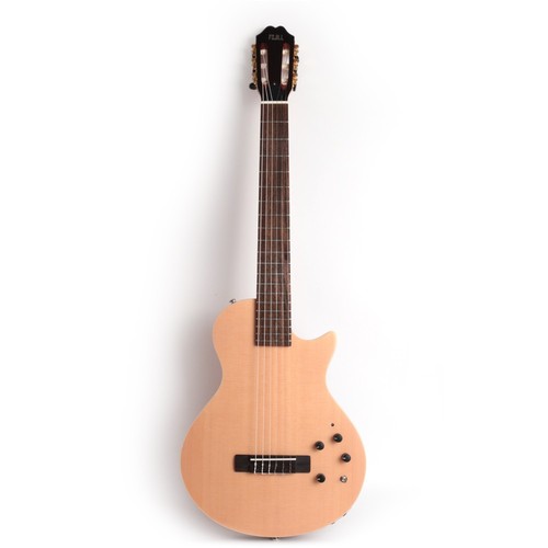 Fojill chitarra acustica - chitarra,