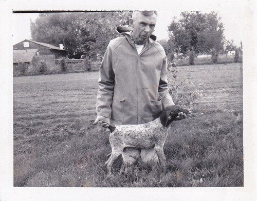 Istantanea vintage cucciolo - istantanea, vintage: