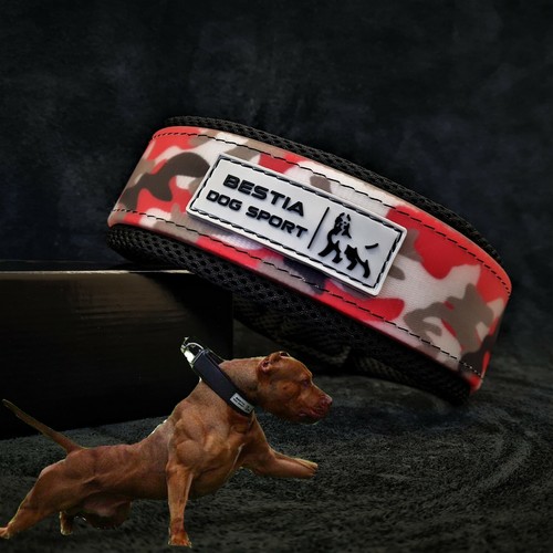 Bestia dog sport - bestia, red