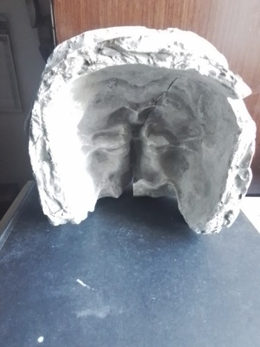 Calco maschera pulcinella - calco,