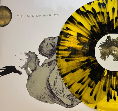 Coil the ape naples - ape,