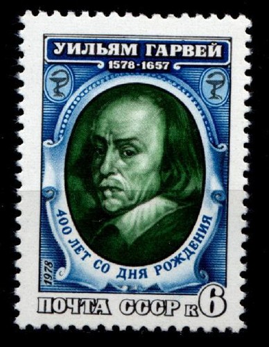 Anatomico medico william - anatomico, e