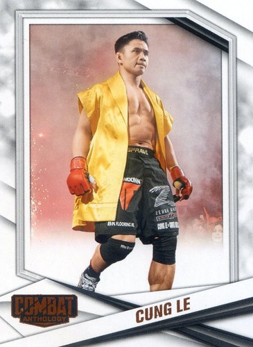 2025 panini combat anthology - panini,
