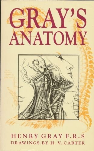 Gray anatomy - gray's,