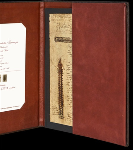 Leonardo vinci il codice - da, vinci.
