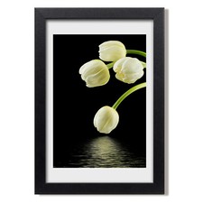 Tulup Foto auf MDF