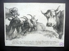 Grande Incisione Originale