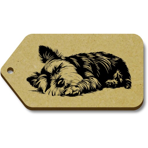 Yorkshire terrier sleeping - terrier, sleeping'