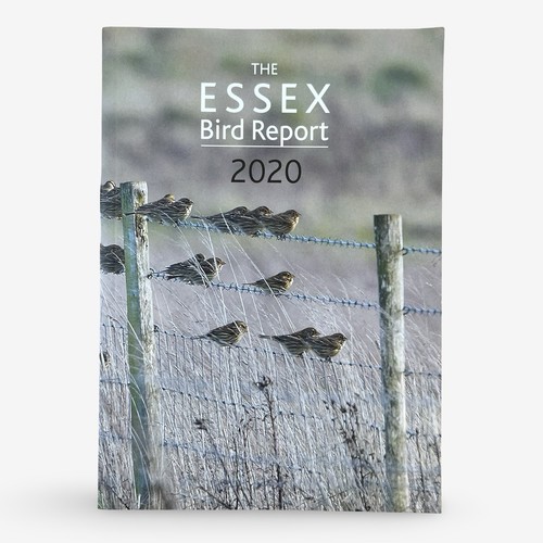 Essex bird report - report, 2020