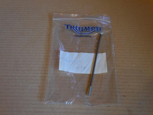 Raggio adatto triumph - adatto,