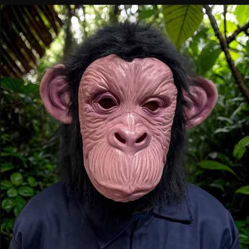 Scimmia scimpanzé maschera - scimpanzé,