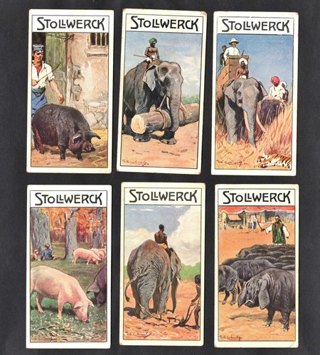 Animals man ser 460 - man,
