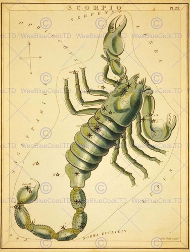86897 disegno mappa stella - 86897,