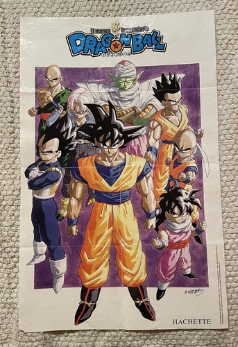 Raro dragon ball poster - [raro],