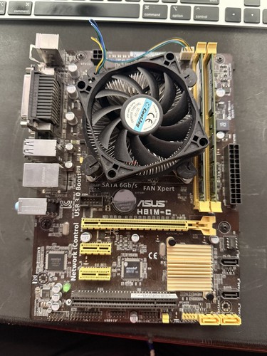 Asus hb1m scheda madre - hb1m-c,