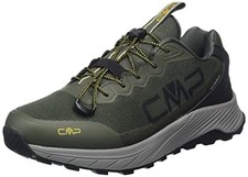 Cmp phelyx wp - (tg.,