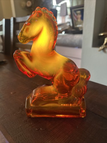 Cavallo allevamento - cavallo,