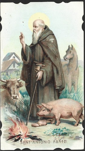 Santino sant antonio abate - santino,