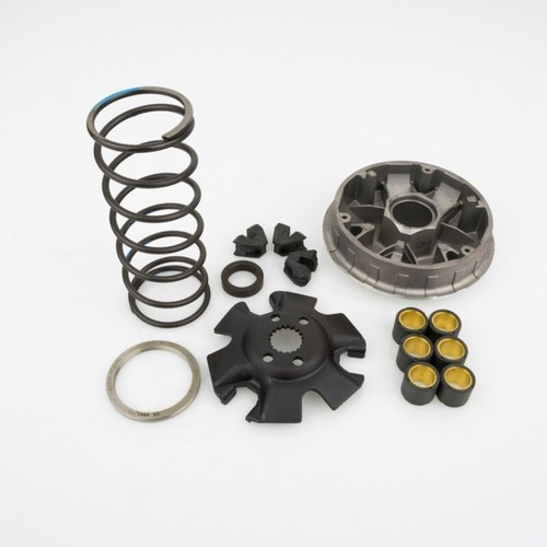 10261311 pinasco variatore - 10261311,
