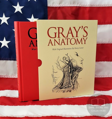 New gray anatomy henry - gray's,