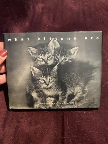 What kittens are sharon - kittens, by