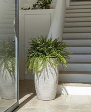 Vaso alto 70cm tronco conico