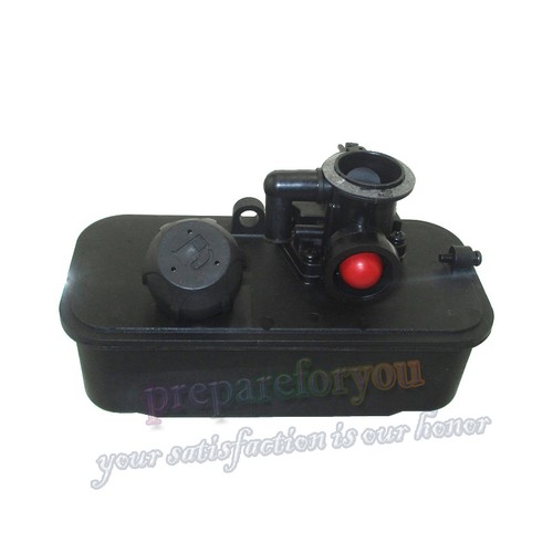 Gruppo carburatore serbatoio