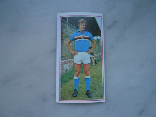 Figurina calciatori panini - figurina,