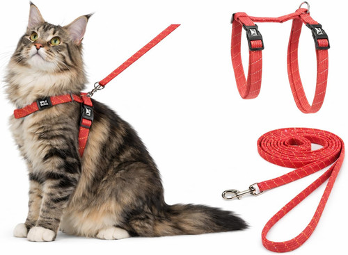 Pettorina gatto grande - gatto,