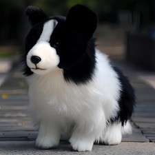 Peluche Border Collie cane