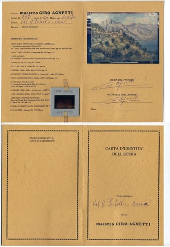 110903 dichiarazione - vc,