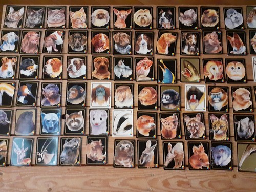 Lotto card 1993 animali - lotto,