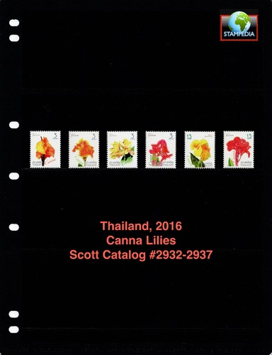 Scott value 2016 - scott,