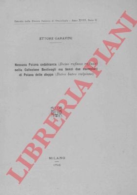 Garavini ettore nessuna - garavini,