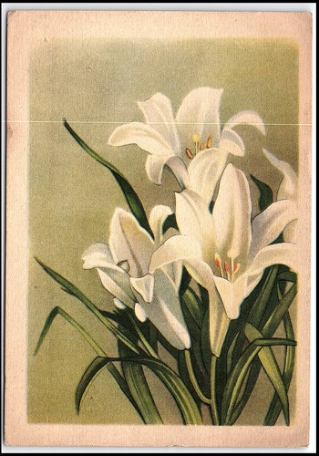 Cartolina epoca 1955 - cartolina, urss