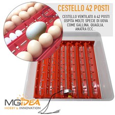 CESTELLO VASSOIO UOVA TUTTE LE