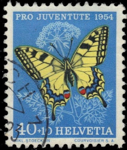 Svizzera b241 coda di - b241,