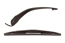 Braccio tergi, Pulizia