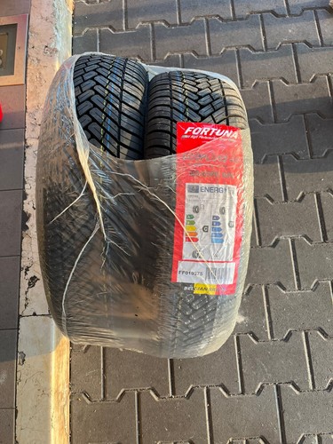 Gomme auto fortuna ecoplus2 - auto,