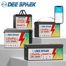 Batteria LiFePO4 12V/24V 100Ah 200Ah 300Ah litio BMS 8000+ cicli Bluetooth solar