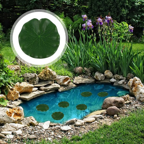 Pcs piante acquario - pcs,